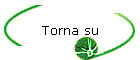 Torna su
